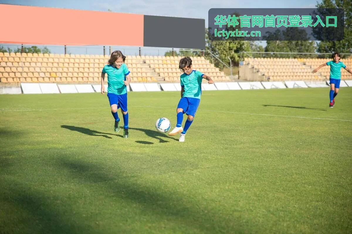 华体官网首页登录入口登录表单区域示意