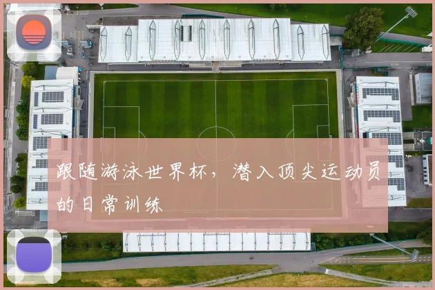 跟随游泳世界杯，潜入顶尖运动员的日常训练