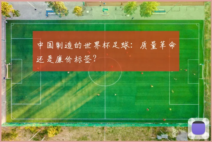 中国制造的世界杯足球：质量革命还是廉价标签？